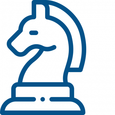 Strategy Development &amp; Execution